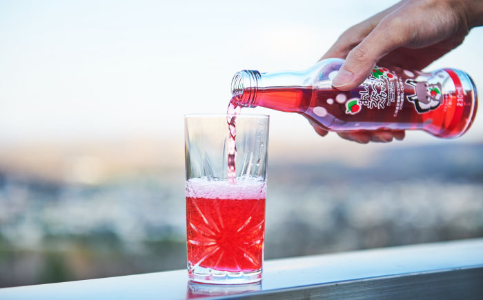 あしょろラズベリースカッシュ 10本《足寄町》【NPO法人あしょろ観光協会】 炭酸 [BEAE016]