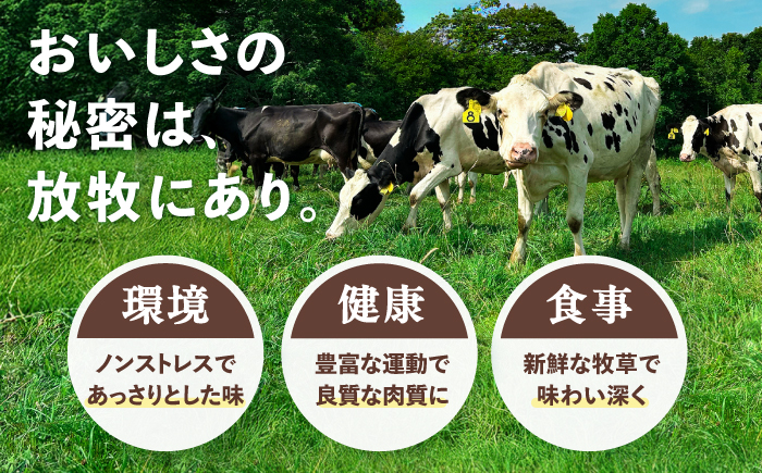 ＼TVで話題／サラダビーフ ソーセージ&ハムセット（ソーセージ100g×2袋・ボンレスハム80g×2袋）《足寄町》【ありがとう牧場】[BEAH007]