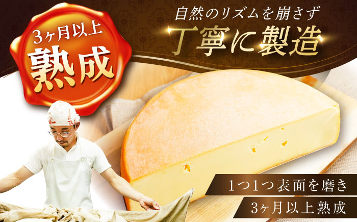 ＼TVで話題／北海道 しあわせラクレット 1/4ホール（1.25kg）《足寄町》【しあわせチーズ工房】 [BEAK006]