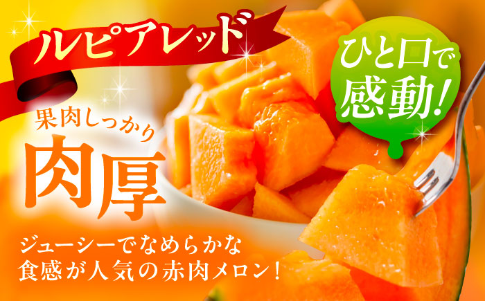 【先行予約】 北海道十勝 あしょろ銀河メロン ルピアレッド 1.5kg×2玉（赤肉）【7月下旬以降発送】《足寄町》【郊南ハウス組合】[BEAO001]