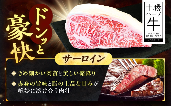 北海道 十勝 ハーブ牛 サーロイン ブロック 約1kg 《足寄町》【株式会社ノベルズ食品】 [BEAQ064]