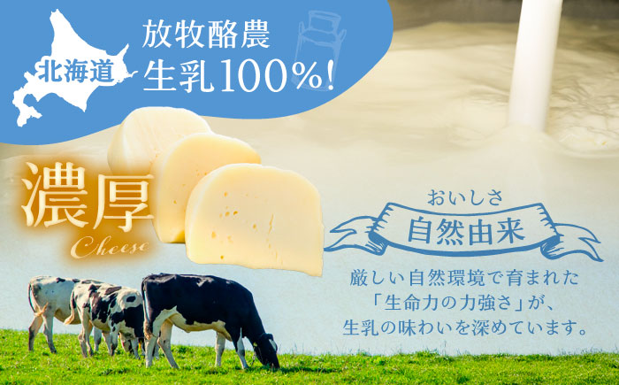 北海道 ゴーダチーズ 300g×2個《足寄町》【合同会社あしょろチーズ工房】 [BEAU001]