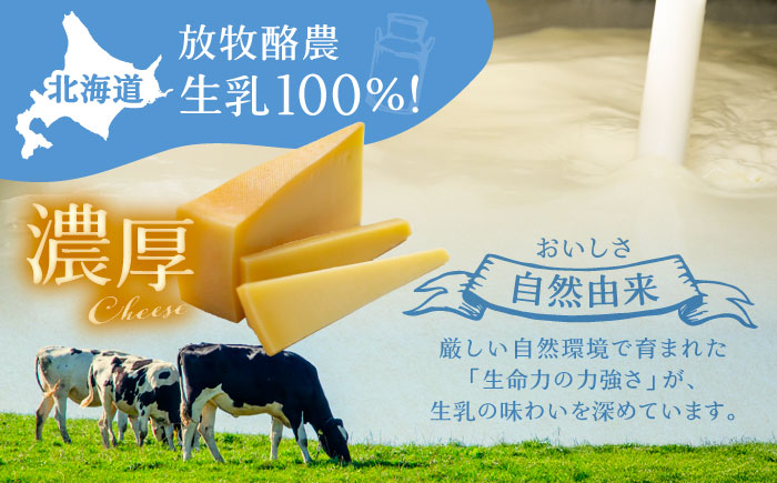 北海道 ラクレット 真 -SHIN- 1ホール（約4kg）《足寄町》【合同会社あしょろチーズ工房】[BEAU006]