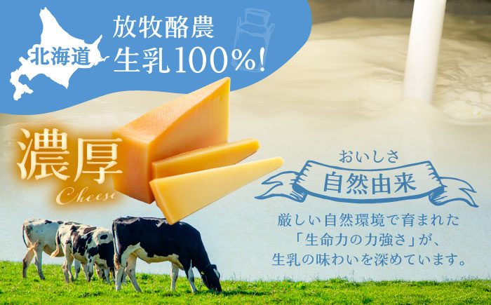チーズ ラクレット 十勝川温泉 モールウォッシュ　ブロック（約1kg）《足寄町》【合同会社あしょろチーズ工房】[BEAU007]
