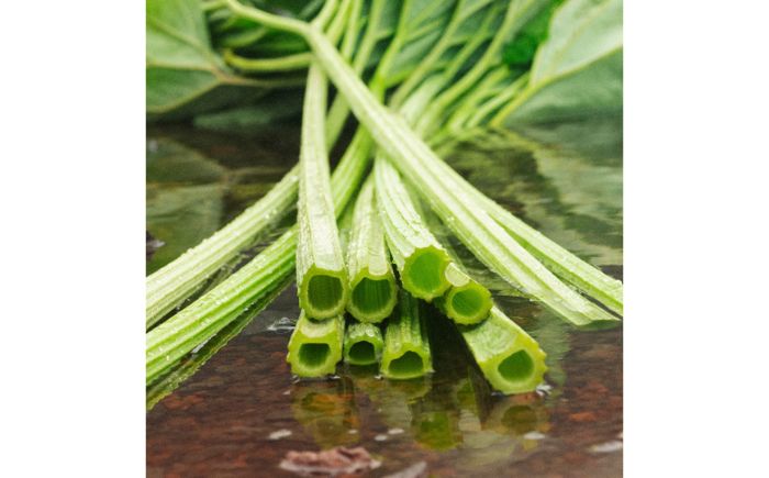 【SHIRO】モイストケアクリームキット 《足寄町》整肌 保湿 [BEAX005]