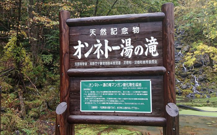 【ペア】北海道十勝 オンネトー 湯の滝 ネイチャートレッキング バーベキュー ツアー 《足寄町》 【Slow Travel HOKKAIDO】 北海道旅行 旅行 夏休み 体験 アクティビティ ハイキング アウトドア 散歩 自然 植物 BBQ 滝[BEAY010]