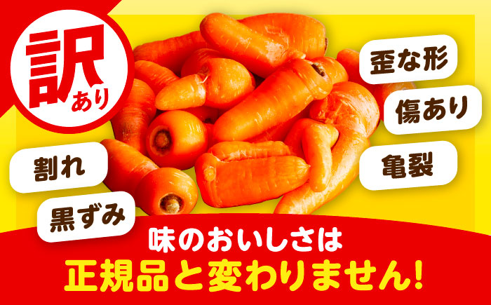 北海道 訳ありにんじん 3kg（土付き）《足寄町》【餌取農場】[BEBA004]