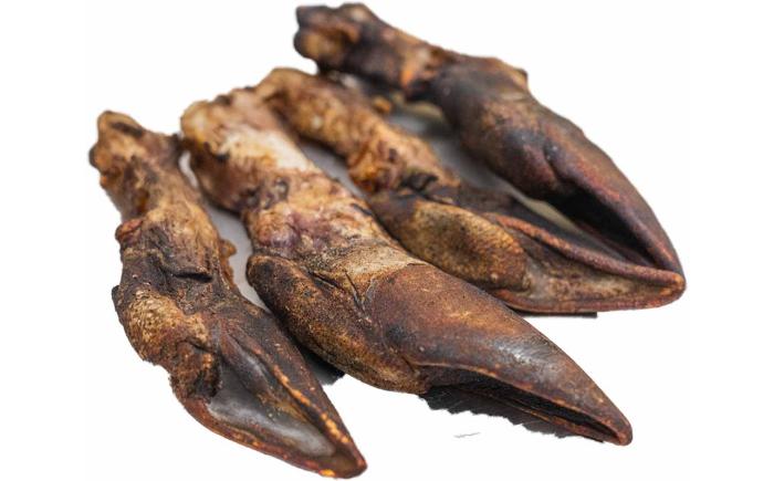 北海道 ペットのおやつ エゾシカ（骨）9種《足寄町》【K&D株式会社】 [BEBC002]