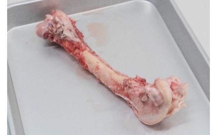 北海道 ペットのご飯 エゾシカ（骨）3種《足寄町》【K&D株式会社】 [BEBC005]