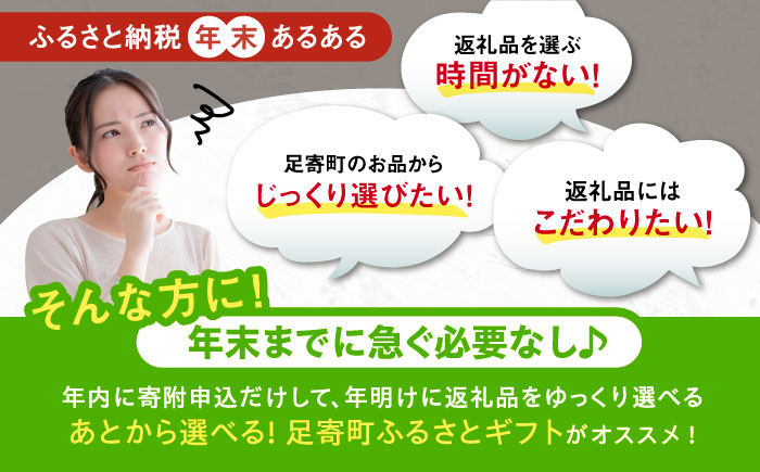 【あとから選べる】足寄町ふるさとギフト 50万円分 足寄町 チーズ [BEBL006]