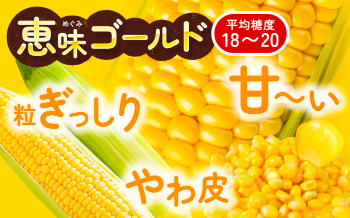 【先行予約】北海道 朝もぎ とうもろこし 15本【8月上旬以降発送】（恵味ゴールド）《足寄町》【党崎農場】 [BEAA004]