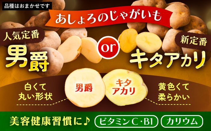 【全2回定期便】とうもろこし（10本）＆じゃがいも（10kg）《足寄町》【党崎農場】[BEAA008]