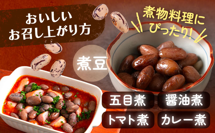 【R7年度産新豆 受付中】北海道 あしょろの中長うずら豆 1kg×2袋《足寄町》【党崎農場】[BEAA022]