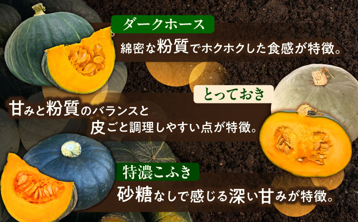 北海道 かぼちゃ 訳あり ダークホース・とっておき・特濃こふき 3種類×1個 《足寄町》【足寄アグリバイオ株式会社】 [BEAC014]