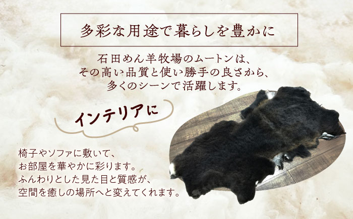 希少 ミルクラム ムートン（天然ブラック）約65cm《足寄町》【石田めん羊牧場】 ラグ マット [BEAD002]