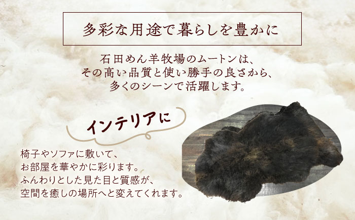 希少 有色仔羊 ムートン（天然ブラウン）約110cm《足寄町》【石田めん羊牧場】 ラグ マット [BEAD004]
