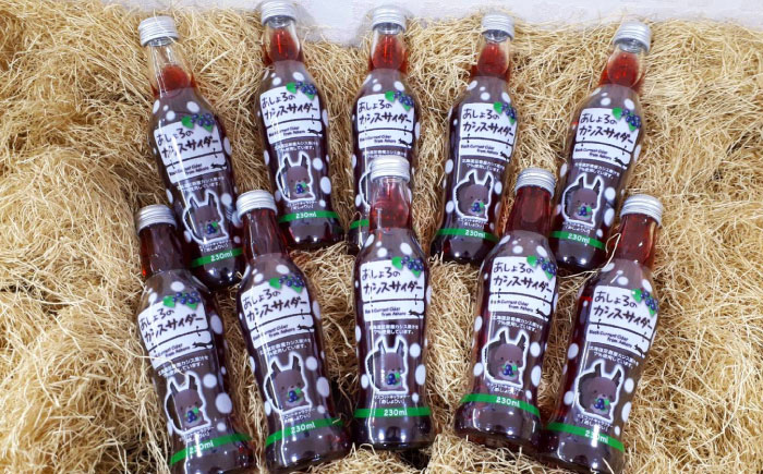 あしょろカシスサイダー 10本《足寄町》【NPO法人あしょろ観光協会】 炭酸 [BEAE017]