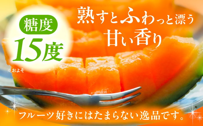 【先行予約】 北海道十勝 あしょろ銀河メロン ルピアレッド 1.5kg×2玉（赤肉）【7月下旬以降発送】《足寄町》【郊南ハウス組合】[BEAO001]