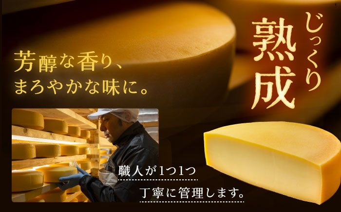 チーズ ラクレット 十勝川温泉 モールウォッシュ　ブロック（約1kg）《足寄町》【合同会社あしょろチーズ工房】[BEAU007]