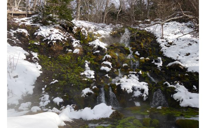 北海道十勝 オーダーメイドツアーチケット（90,000円分）《足寄町》 【Slow Travel HOKKAIDO】 旅行 [BEAY008]