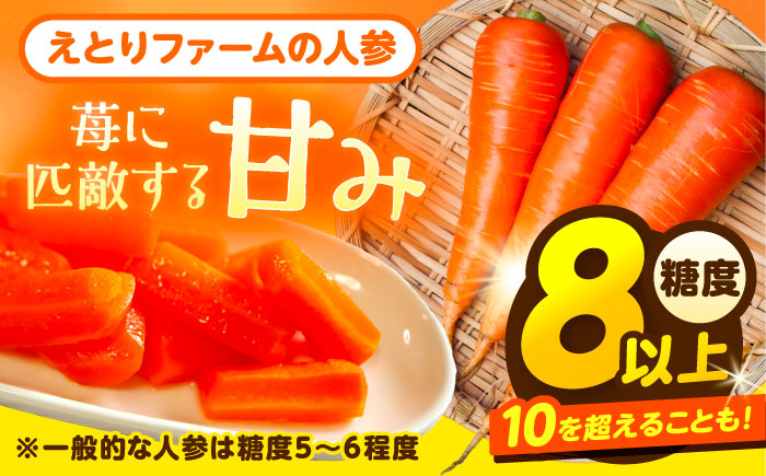 【訳あり】 北海道 にんじん 5kg （土付き）《足寄町》【えとりファーム】 [BEBA005]