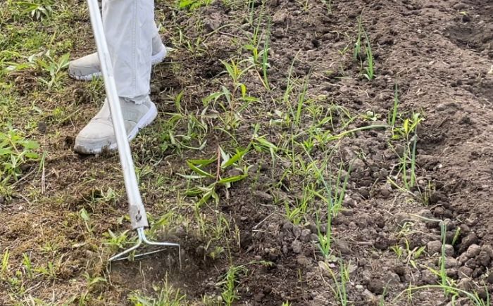 手取り除草機　ホーF21　《足寄町》【株式会社キュウホー】[BEBH002]