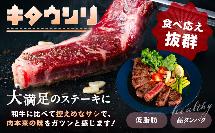 北海道産牛 サーロインステーキ 200g×3パック 《足寄町》 【北海道チクレンミート】 肉 牛肉 北海道産 [BEBJ001] 600g（200g × 3枚）