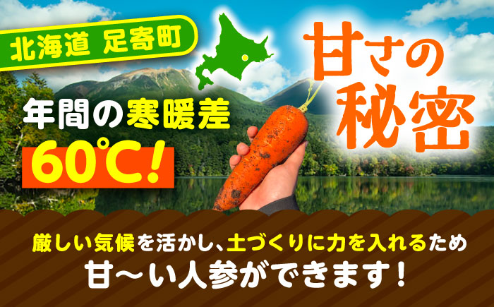 北海道 訳ありにんじん 1kg（土付き）《足寄町》【餌取農場】 [BEBA003]