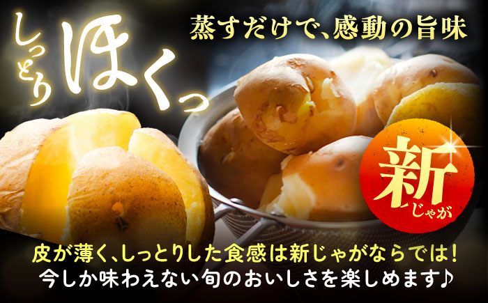 【先行予約】北海道産 じゃがいも 2種食べ比べセット 各5kg（男爵＆キタアカリ）《足寄町》【党崎農場】[BEAA005]