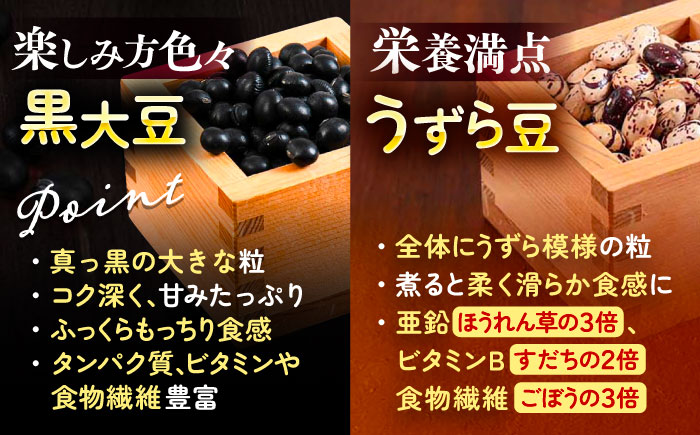 北海道 あしょろの豆 5種 計5kg（各1kg×各1袋）《足寄町》【党崎農場】[BEAA012]