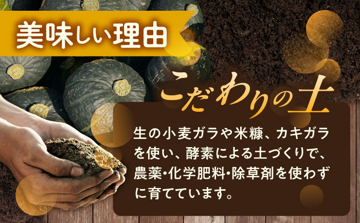北海道 かぼちゃ 特濃こふき 2個 《足寄町》【足寄アグリバイオ株式会社】 かぼちゃ カボチャ 特濃こふき ハロウィン グラタン スープ 旬 新鮮 北海道産 道産 寒冷地 あしょろ [BEAC011]