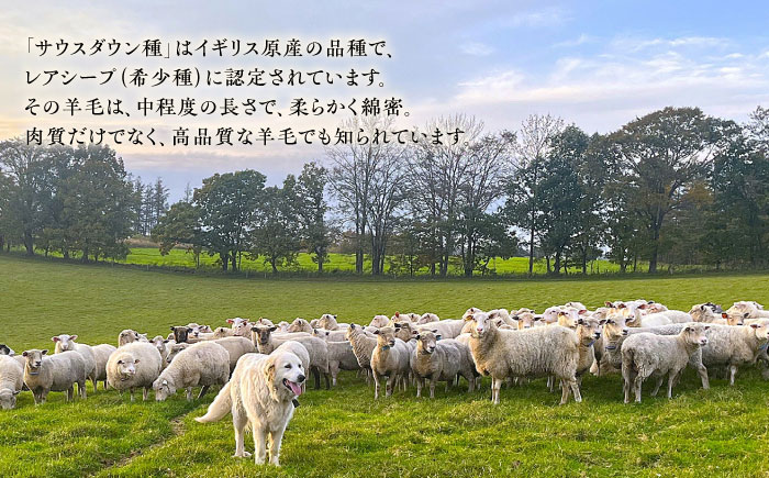 希少 羊毛100％使用 職人手作りの羊毛掛け布団（シングル）《足寄町》【石田めん羊牧場】[BEAD008]