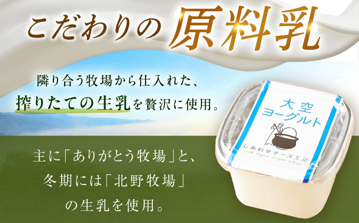 大空ヨーグルト 400g×6個《足寄町》【NPO法人あしょろ観光協会】 [BEAE005]