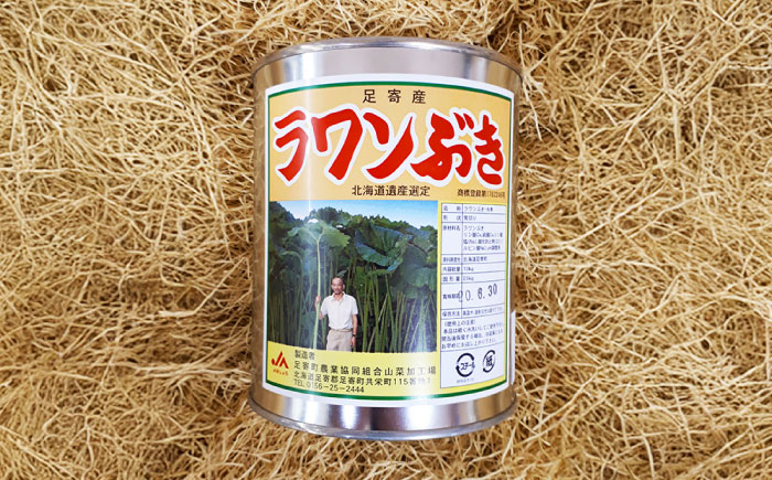 ラワンぶき水煮缶 500g×3缶《足寄町》【NPO法人あしょろ観光協会】 ふき [BEAE010]