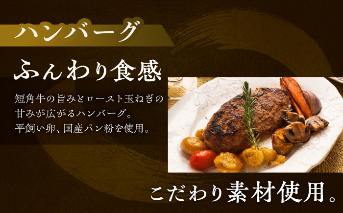 北海道 北十勝 短角牛 ハンバーグ 160g×5《足寄町》【北十勝ファーム有限会社】 [BEAI089] 160g×5パック