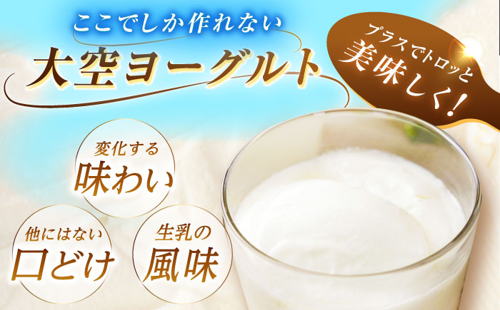 ＼TVで話題／できたて直送「大空 ヨーグルト」 400g×8個《足寄町》【しあわせチーズ工房】 [BEAK002]