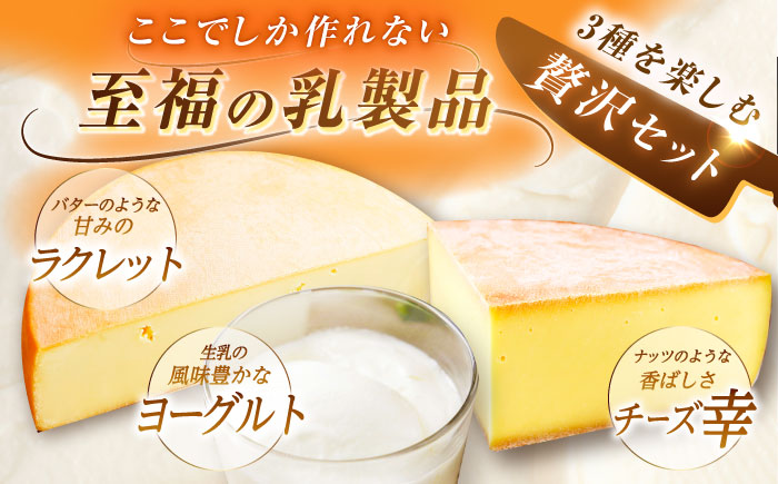 ＼TVで話題／北海道 チーズ＆ヨーグルトセット《足寄町》[BEAK003]