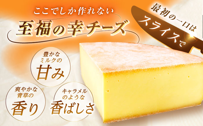 ＼TVで話題／北海道 チーズ 幸 個包装 計500g（個包装4－6個）《足寄町》【しあわせチーズ工房】 [BEAK014]