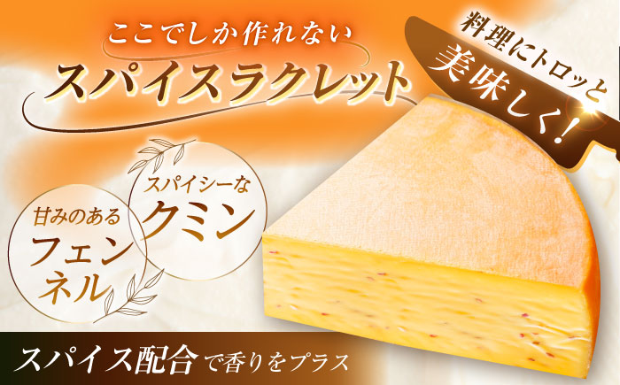 ＼TVで話題／北海道 スパイスラクレット 1/4ホール（1.25kg）《足寄町》【しあわせチーズ工房】 [BEAK032]