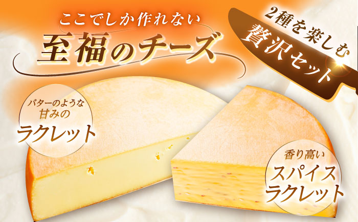 ＼TVで話題／北海道 しあわせラクレット500g【個包装】とスパイスラクレット500g【個包装】《足寄町》【しあわせチーズ工房】 [BEAK034]