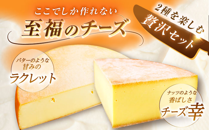 ＼TVで話題／北海道 しあわせチーズ工房「幸」500g（個包装4－6個）とラクレット500g（個包装4－6個）《足寄町》【しあわせチーズ工房】 [BEAK036]