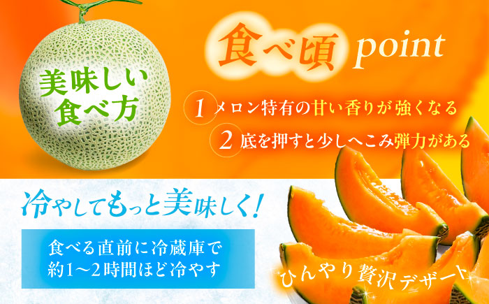 【先行予約】 北海道十勝 あしょろ銀河メロン ルピアレッド 1.5kg×2玉（赤肉）【7月下旬以降発送】《足寄町》【郊南ハウス組合】[BEAO001]