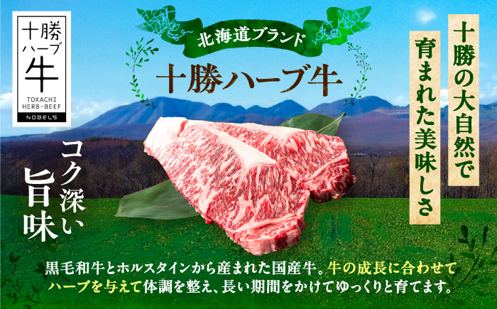 北海道 十勝 ハーブ牛  サーロインステーキ 200g 《足寄町》【株式会社ノベルズ食品】 [BEAQ046] 200g