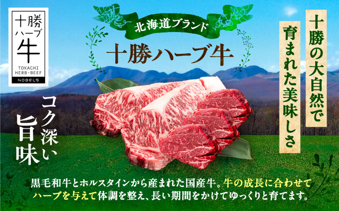 北海道 十勝 ハーブ牛 サーロイン ヒレ ステーキ セット 1kg （500g×2） 《足寄町》【株式会社ノベルズ食品】 [BEAQ056] 500g×2パック
