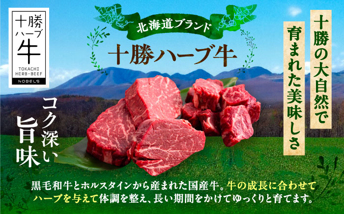 北海道 十勝 ハーブ牛 ヒレステーキ セット 1.5kg  （ミニステーキ300ｇ+コロコロステ ーキ200ｇ）×3 《足寄町》【株式会社ノベルズ食品】 [BEAQ061]