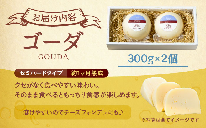 北海道 ゴーダチーズ 300g×2個《足寄町》【合同会社あしょろチーズ工房】 [BEAU001]