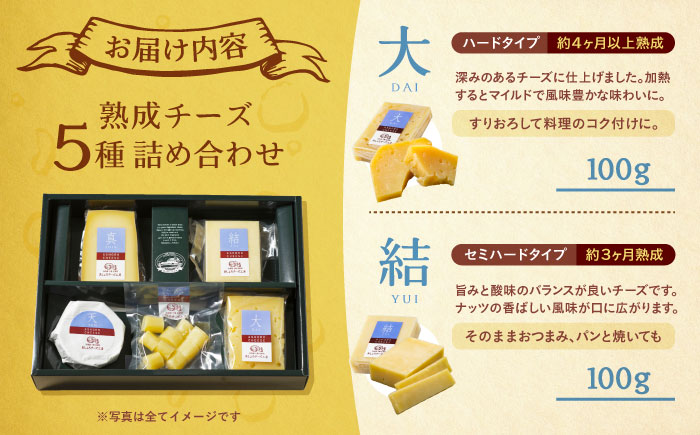 北海道 熟成チーズ 5種詰め合わせ《足寄町》【合同会社あしょろチーズ工房】 [BEAU003]