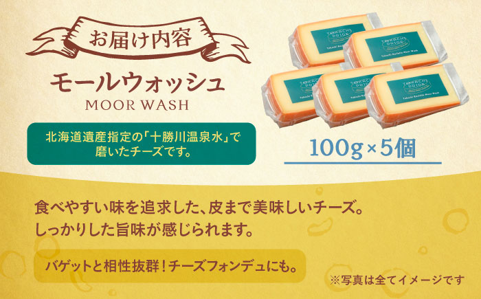 北海道 十勝ラクレット モールウォッシュ 100g×5個《足寄町》【合同会社あしょろチーズ工房】[BEAU004]