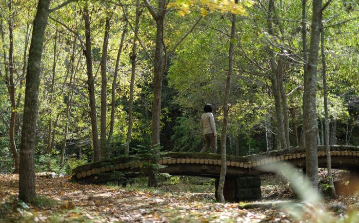 【ペア】北海道十勝 オンネトー 湯の滝 ネイチャートレッキング バーベキュー ツアー 《足寄町》 【Slow Travel HOKKAIDO】 北海道旅行 旅行 夏休み 体験 アクティビティ ハイキング アウトドア 散歩 自然 植物 BBQ 滝[BEAY010]