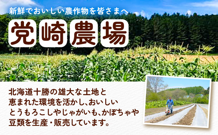 【先行予約】北海道 朝もぎ とうもろこし 15本【8月上旬以降発送】（恵味ゴールド）《足寄町》【党崎農場】 [BEAA004]